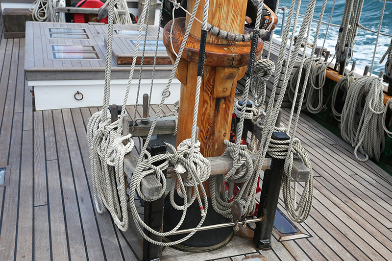 Sail on the R Tucker Thompson, Bay of Islands, NZ